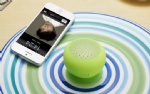 Bluetooth Stand Speaker